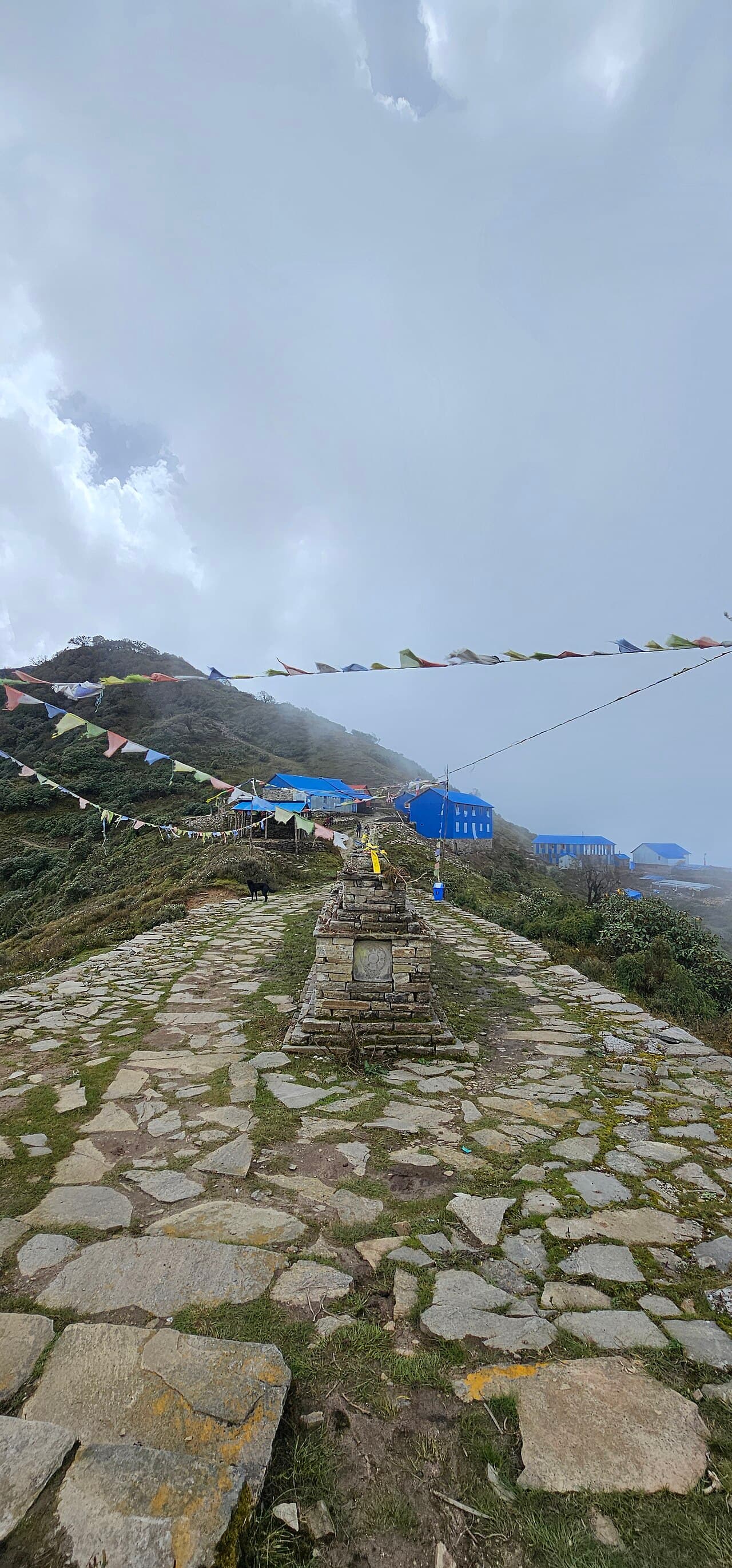 तस्बिर: Nabin K. Sapkota, CC BY-SA 4.0, Wikimedia Commons